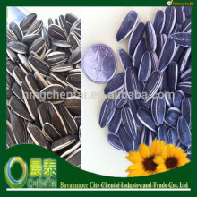 To Buy Sunflower seeds Nuts In Shell/Calories Sunflower Seeds